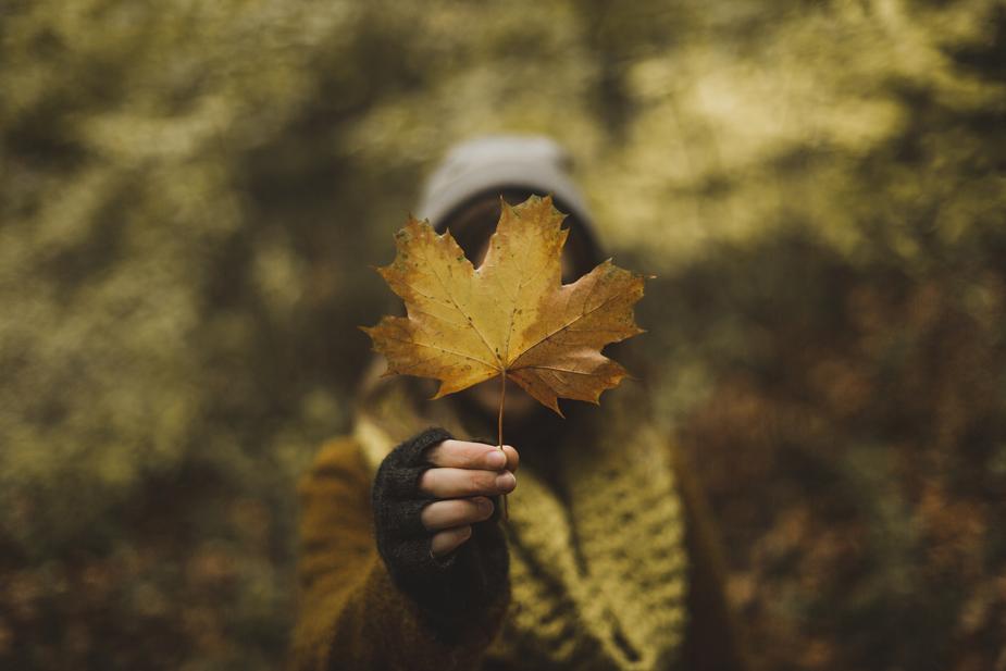 woman-holding-maple-leaf-in-fall_925x
